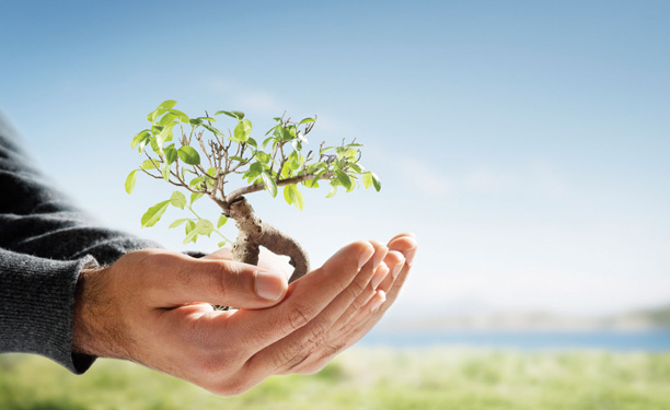 Introduction to Environmental Management